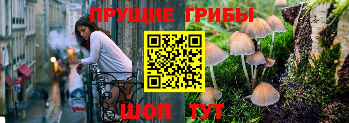 Псилоцибиновые грибы мухоморы  Вход с VPN  Нерюнгри 